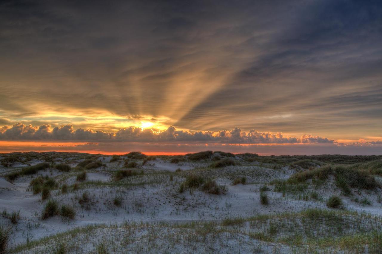 Villa Zeelucht Texel De Koog  Esterno foto