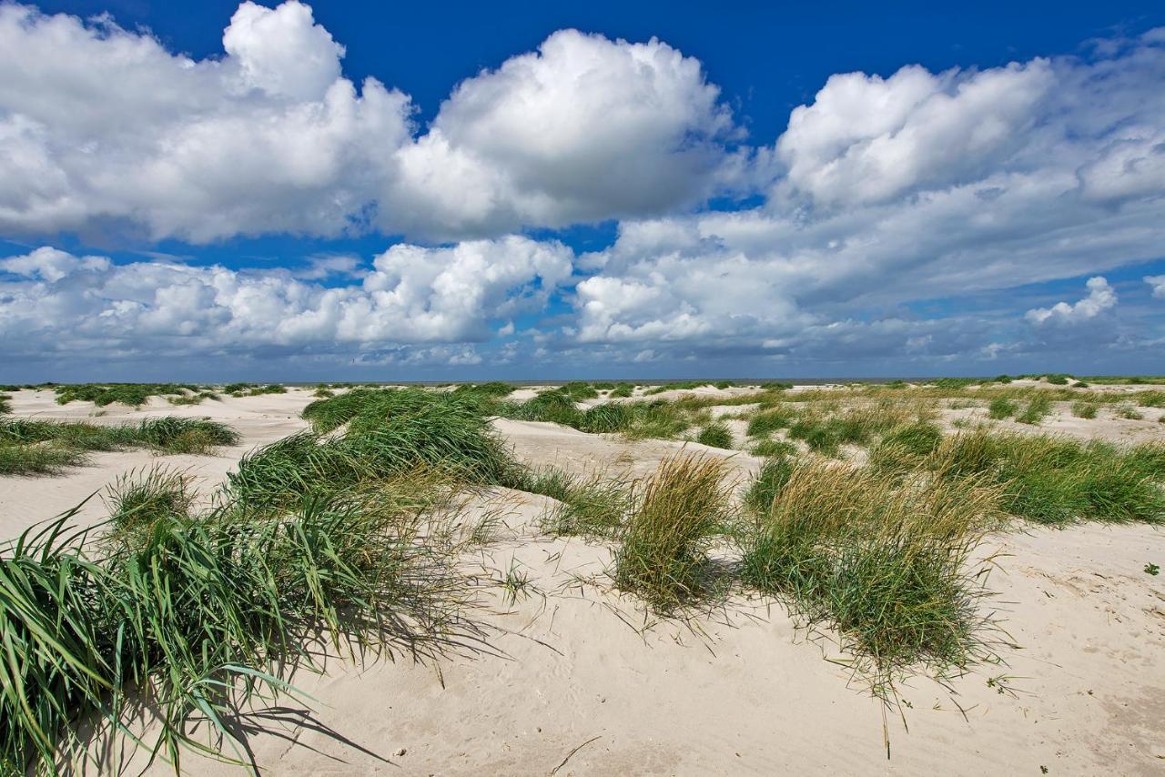 Villa Zeelucht Texel De Koog  Esterno foto