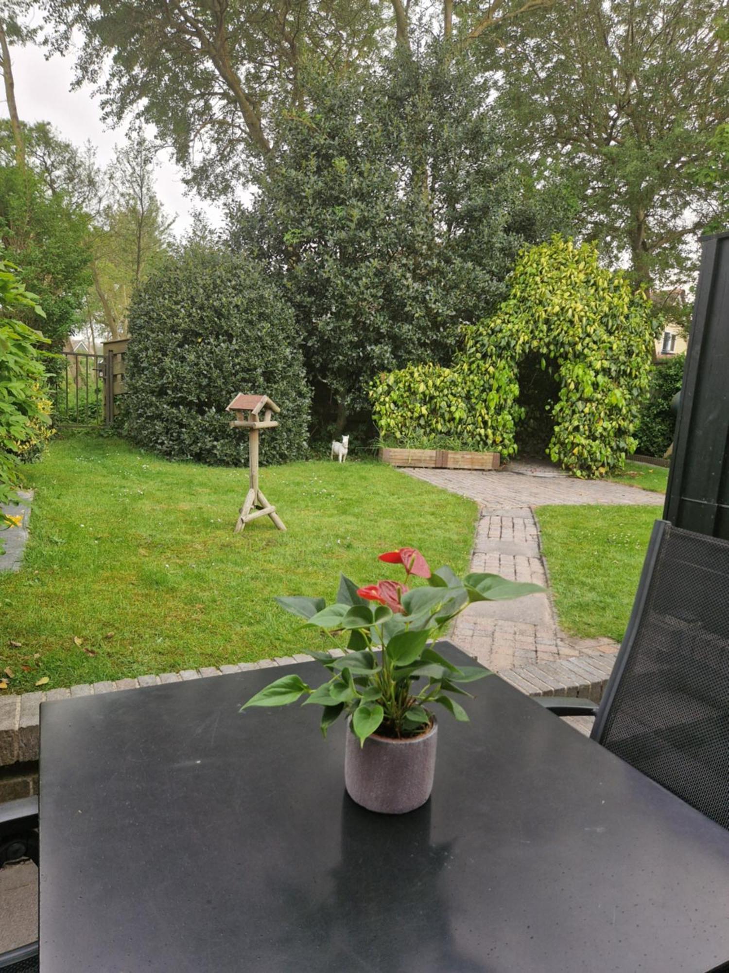 Villa Zeelucht Texel De Koog  Esterno foto